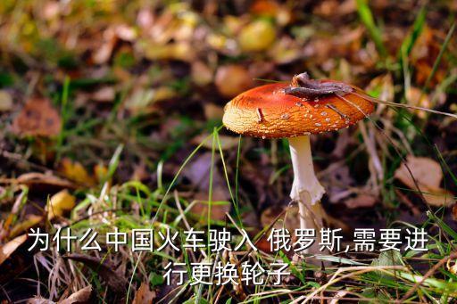 中國(guó)高鐵有望開進(jìn)俄羅斯,俄羅斯不用中國(guó)高鐵