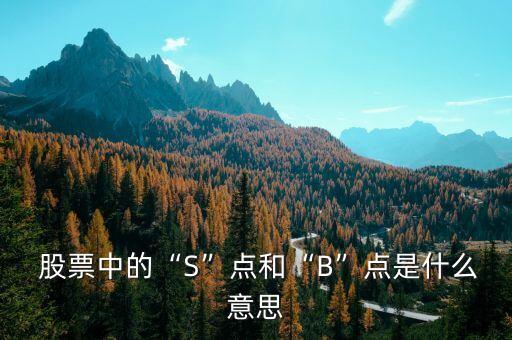  股票中的“S”點(diǎn)和“B”點(diǎn)是什么意思