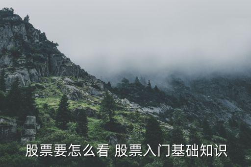  股票要怎么看 股票入門基礎(chǔ)知識