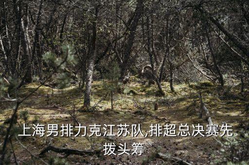  上海男排力克江蘇隊,排超總決賽先撥頭籌