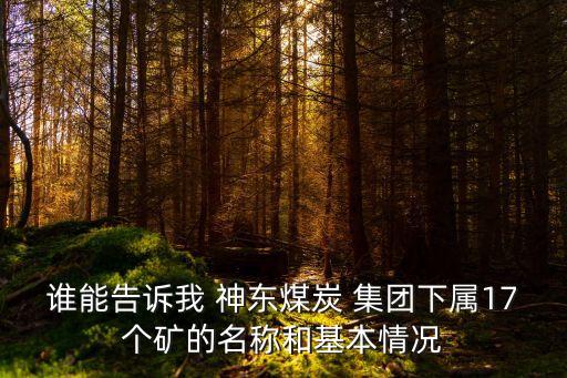 誰(shuí)能告訴我 神東煤炭 集團(tuán)下屬17個(gè)礦的名稱和基本情況