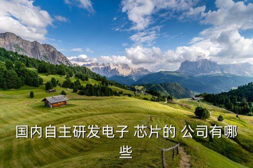 國內(nèi)自主研發(fā)電子 芯片的 公司有哪些