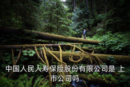 中國(guó)人民人壽保險(xiǎn)股份有限公司是 上市公司嗎