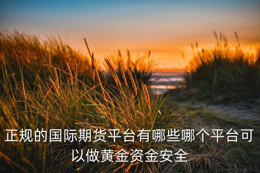 正規(guī)的國(guó)際期貨平臺(tái)有哪些哪個(gè)平臺(tái)可以做黃金資金安全
