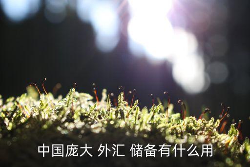 談談你對中國外匯儲備規(guī)模的看法,中國11月外匯儲備規(guī)模