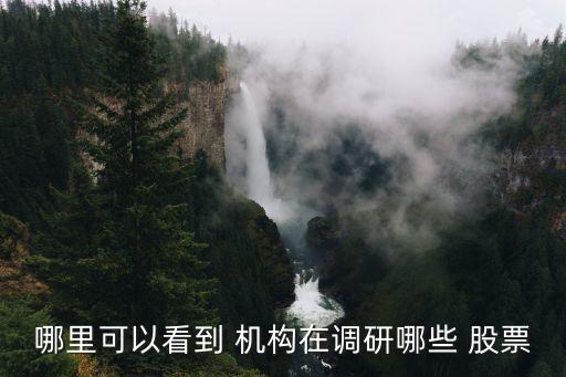 如何看機構(gòu)買了什么股票