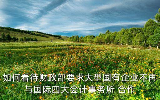 如何看待財政部要求大型國有企業(yè)不再與國際四大會計事務(wù)所 合作