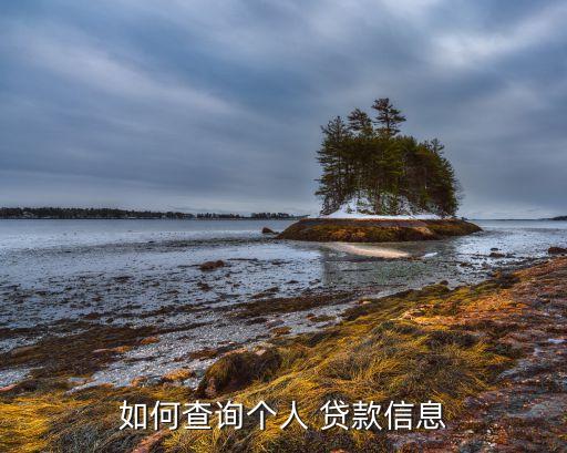 如何查詢個(gè)人 貸款信息