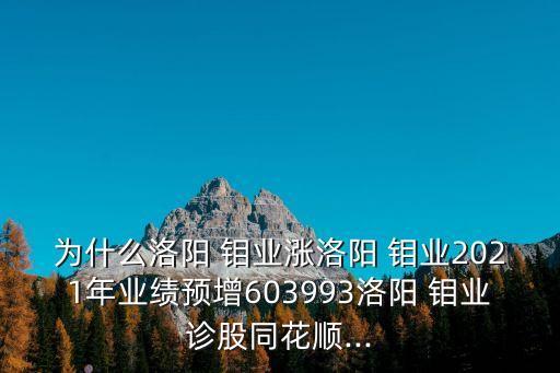 為什么洛陽 鉬業(yè)漲洛陽 鉬業(yè)2021年業(yè)績預增603993洛陽 鉬業(yè)診股同花順...