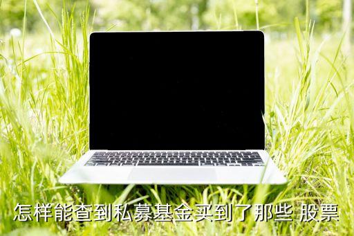 怎樣能查到私募基金買到了那些 股票