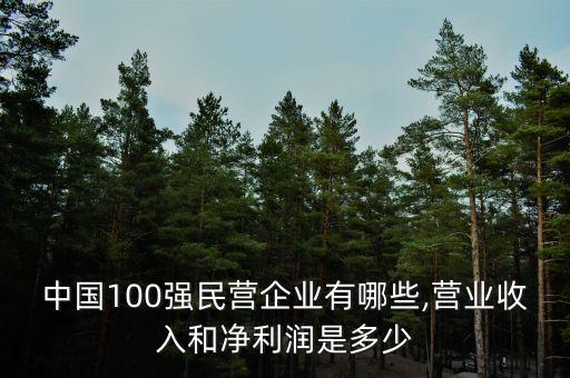 中國100強民營企業(yè)有哪些,營業(yè)收入和凈利潤是多少