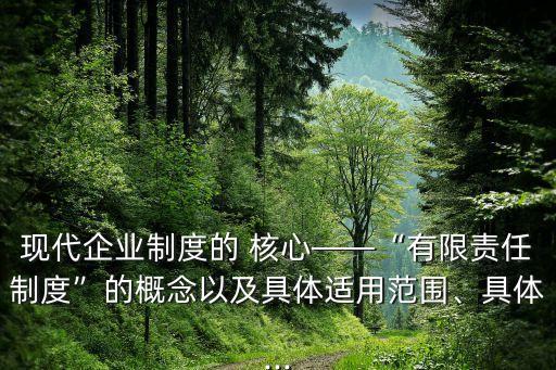 現(xiàn)代企業(yè)制度的 核心——“有限責(zé)任制度”的概念以及具體適用范圍、具體...