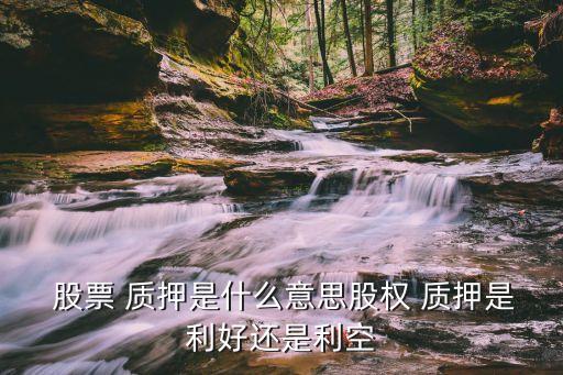個人賬戶股票質(zhì)押,股票個人賬戶最多能買多少股