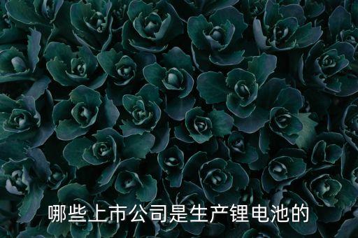 西藏礦業(yè)集團(tuán)銷(xiāo)售電話,江南礦業(yè)集團(tuán)有限公司西藏