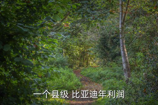 比亞迪公司財務分析