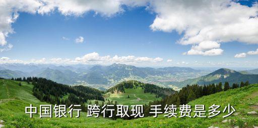  中國(guó)銀行 跨行取現(xiàn) 手續(xù)費(fèi)是多少