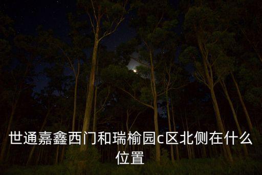 迪拜基金世通元現(xiàn)狀