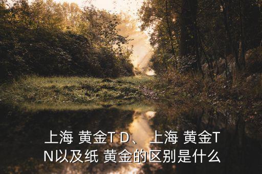  上海 黃金T D、 上海 黃金T N以及紙 黃金的區(qū)別是什么
