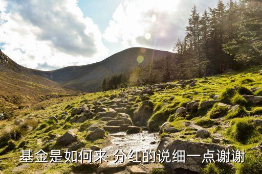  基金是如何來 分紅的說細(xì)一點(diǎn)謝謝