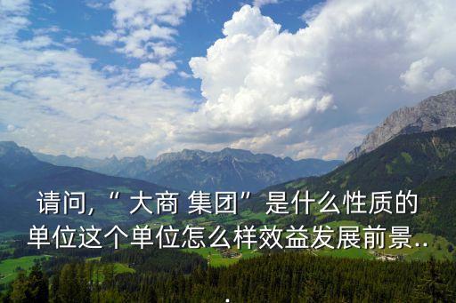 請問,“ 大商 集團”是什么性質(zhì)的單位這個單位怎么樣效益發(fā)展前景...