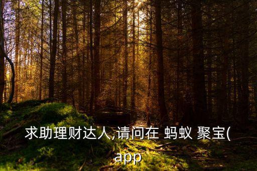 求助理財(cái)達(dá)人,請(qǐng)問(wèn)在 螞蟻 聚寶(app