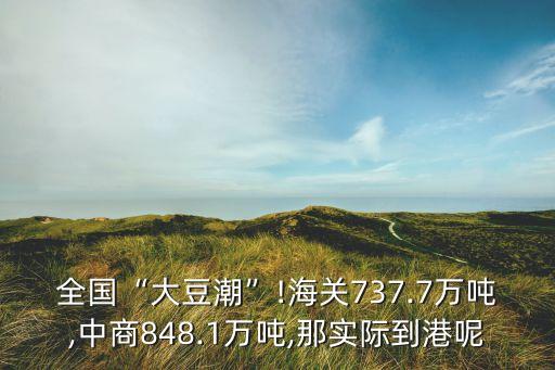 全國“大豆潮”!海關737.7萬噸,中商848.1萬噸,那實際到港呢