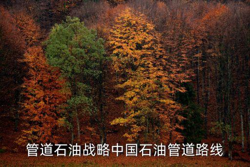 管道石油戰(zhàn)略中國(guó)石油管道路線(xiàn)