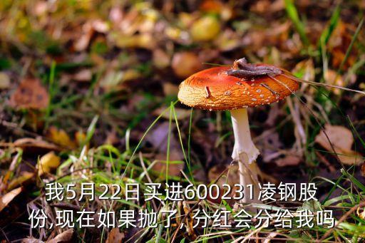 我5月22日買進(jìn)600231凌鋼股份,現(xiàn)在如果拋了, 分紅會(huì)分給我嗎