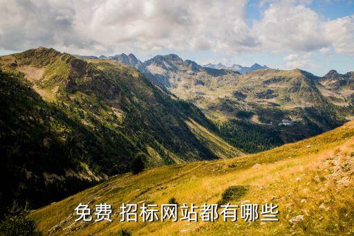 免費(fèi) 招標(biāo)網(wǎng)站都有哪些