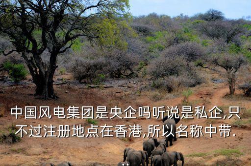 中國(guó)風(fēng)電集團(tuán)是央企嗎聽(tīng)說(shuō)是私企,只不過(guò)注冊(cè)地點(diǎn)在香港,所以名稱(chēng)中帶...
