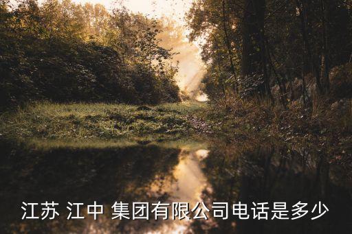 江中集團總經(jīng)理