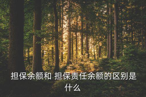 擔保公司放大倍數,融資擔保公司放大倍數