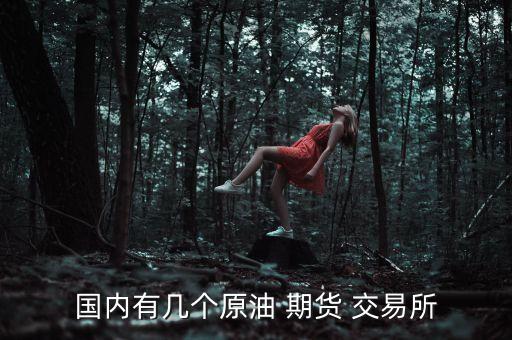 國內有幾個原油 期貨 交易所