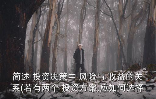 簡(jiǎn)述 投資決策中 風(fēng)險(xiǎn)與 收益的關(guān)系(若有兩個(gè) 投資方案,應(yīng)如何選擇