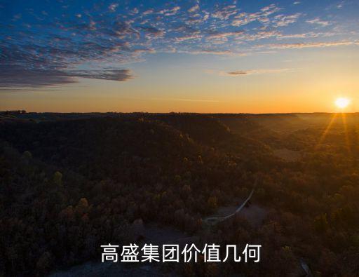  高盛集團(tuán)價值幾何