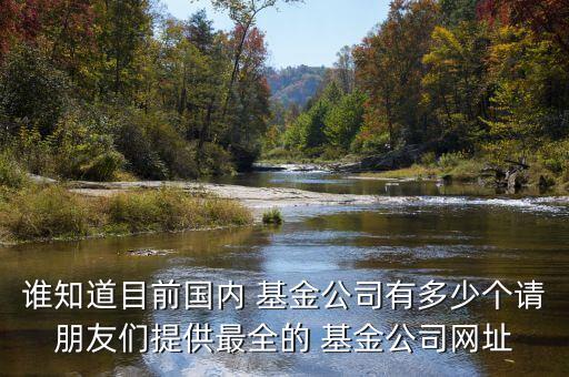 誰知道目前國(guó)內(nèi) 基金公司有多少個(gè)請(qǐng)朋友們提供最全的 基金公司網(wǎng)址
