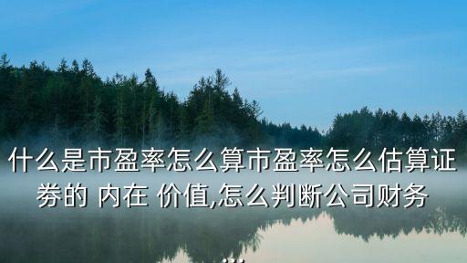什么是市盈率怎么算市盈率怎么估算證劵的 內(nèi)在 價值,怎么判斷公司財務(wù)...