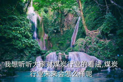 我想聽聽大家對(duì)煤炭行業(yè)的看法,煤炭行業(yè)未來(lái)會(huì)怎么樣呢
