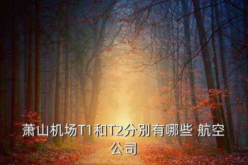 蕭山機場T1和T2分別有哪些 航空公司