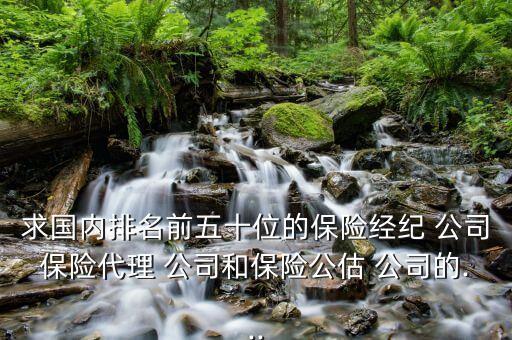 求國內(nèi)排名前五十位的保險(xiǎn)經(jīng)紀(jì) 公司保險(xiǎn)代理 公司和保險(xiǎn)公估 公司的...