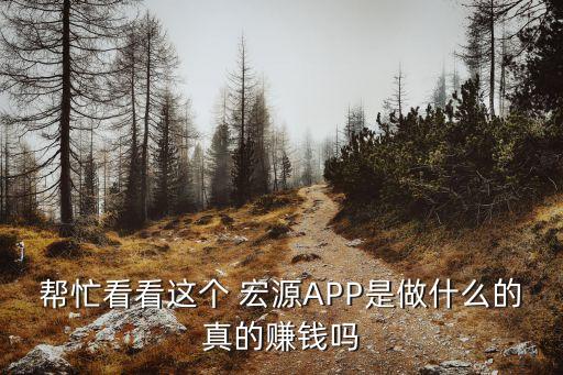 幫忙看看這個(gè) 宏源APP是做什么的真的賺錢(qián)嗎