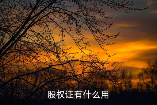 股權(quán)證有什么用