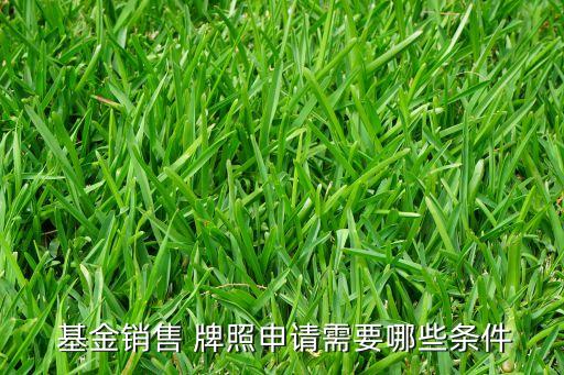  基金銷(xiāo)售 牌照申請(qǐng)需要哪些條件
