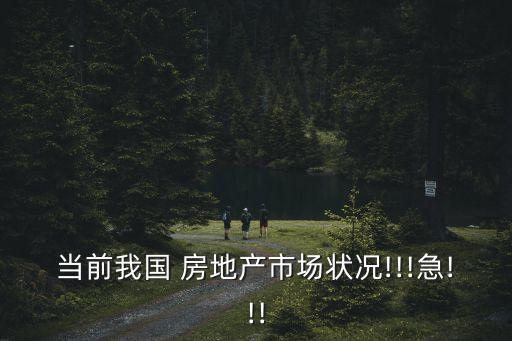 當(dāng)前我國(guó) 房地產(chǎn)市場(chǎng)狀況!!!急!!!