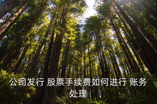 股票的賬務(wù)處理,股票公允價值變動賬務(wù)處理