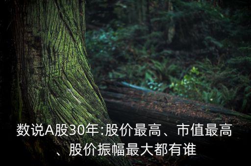 中國(guó)漲幅最多股票,2022年漲幅最多的股票