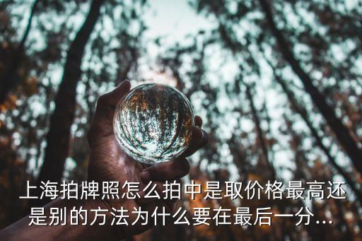  上海拍牌照怎么拍中是取價(jià)格最高還是別的方法為什么要在最后一分...