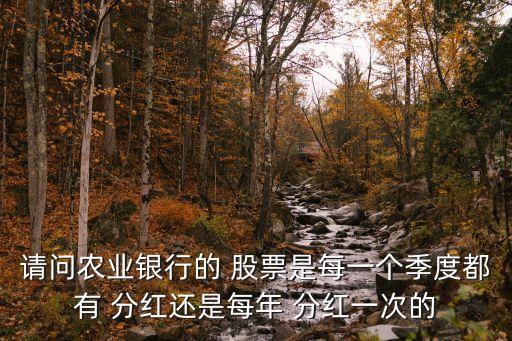 請問農(nóng)業(yè)銀行的 股票是每一個(gè)季度都有 分紅還是每年 分紅一次的