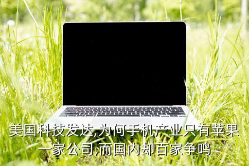美國(guó)科技發(fā)達(dá),為何手機(jī)產(chǎn)業(yè)只有蘋(píng)果一家公司,而國(guó)內(nèi)卻百家爭(zhēng)鳴