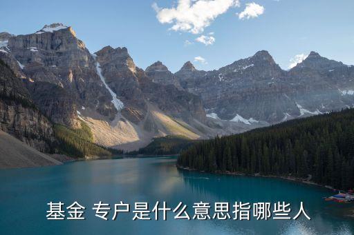  基金 專(zhuān)戶是什么意思指哪些人
